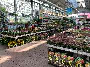 OBI Markt Offenbach - GALLERY