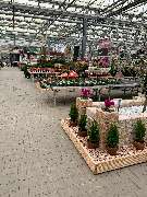 OBI Markt Offenbach - GALLERY