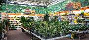 OBI Markt Offenbach - GALLERY