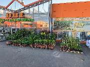 OBI Markt Offenbach - OBI Badplaner Offenbach