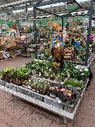 OBI Markt Offenbach - OBI Holzzuschnitt-Service Offenbach