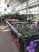 OBI Markt Offenburg - Mein Traumgarten