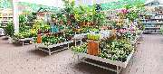 OBI Markt Offenburg - OBI Gartencenter Offenburg