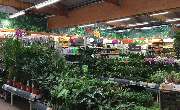 OBI Markt Ottendorf-Okrilla - Gartencenter