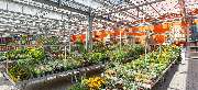 OBI Markt Papenburg - OBI Gartencenter Papenburg