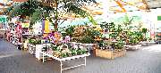 OBI Markt Parchim - OBI Gartencenter Parchim