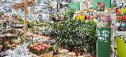 OBI Markt Parsdorf - OBI Deine Werkstatt Parsdorf