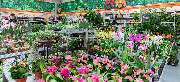 OBI Markt Pfullendorf - OBI Gartencenter Pfullendorf
