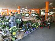 OBI Markt Pfullingen - Eingangsbereich OBI Pfullingen