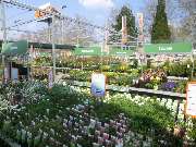 OBI Markt Pfullingen - Freigelände Pflanzen