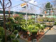 OBI Markt Pfullingen - Für jeden Garten die richtige Bepflanzung