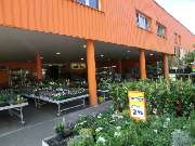 OBI Markt Pfullingen - Pflanzenfest bei OBI