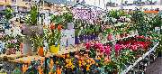 OBI Markt Pocking - OBI Badplaner Pocking