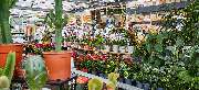OBI Markt Pocking - OBI BBQ & Grillwelt Pocking