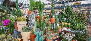 OBI Markt Pocking - OBI Gartencenter Pocking