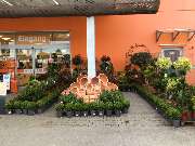 OBI Markt Pocking - OBI Parkplatz Pocking