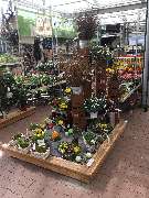 OBI Markt Pocking - Rost Gartendeko