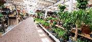 OBI Markt Pressath - OBI Gartencenter Pressath