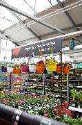OBI Markt Radebeul - GALLERY