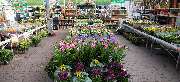OBI Markt Radebeul - GALLERY