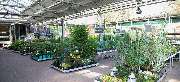 OBI Markt Radebeul - GALLERY