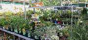 OBI Markt Radebeul - GALLERY