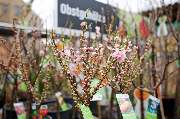 OBI Markt Radebeul - OBI Gartencenter Radebeul