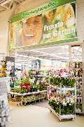 OBI Markt Radebeul - OBI Holzzuschnitt-Service Radebeul