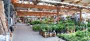 OBI Markt Rangsdorf-Groß-Machnow - OBI Gartencenter Rangsdorf