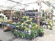 OBI Markt Ravensburg - OBI Küchenplaner Ravensburg