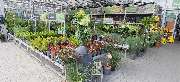 OBI Markt Recklinghausen - OBI Gartencenter Recklinghausen