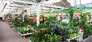 OBI Markt Reichenbach - OBI Gartencenter Reichenbach