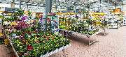 OBI Markt Remscheid - OBI Gartencenter Remscheid