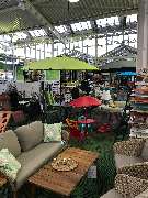 OBI Markt Rheinbach - Orchideen