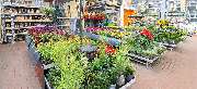 OBI Markt Rheine - GALLERY