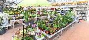 OBI Markt Rheine - GALLERY