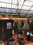 OBI Markt Rheine - GALLERY