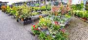 OBI Markt Rheine - GALLERY