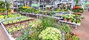 OBI Markt Rheine - GALLERY