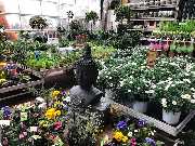 OBI Markt Rheine - OBI Badplaner Rheine