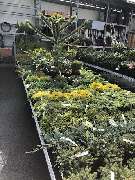 OBI Markt Rheine - OBI Baustoffhalle Rheine