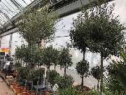 OBI Markt Rheine - OBI Farbmisch-Service Rheine