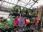 OBI Markt Rheine - OBI Gartencenter Rheine