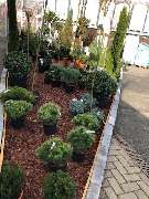 OBI Markt Rheine - OBI Kasse Rheine