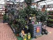 OBI Markt Rheine - OBI Lampen- & Leuchtenstudio Rheine