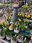 OBI Markt Rheine - OBI Lampen- & Leuchtenstudio Rheine