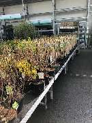 OBI Markt Rheine - OBI Mittelgang Rheine