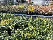 OBI Markt Rheine - OBI Mittelgang Rheine