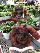 OBI Markt Rheine - Rasenmäher in riesiger Auswahl