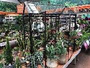 OBI Markt Rheine - Weihnachten 2020 bei OBI